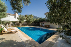 Magnificent Villa with Private Pool Amazing View and Backyard in Oludeniz